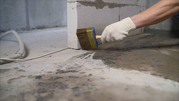 SJ Waterproofing Pros Emergency Waterproofing coverage map for Newbern, AL and surrounding area